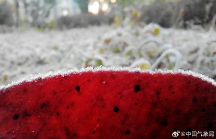 贵阳多地出现霜 晶莹剔透宛如钻石