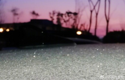 贵阳多地出现霜 晶莹剔透宛如钻石