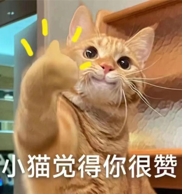 “考研结束走出考场那一刻,大家都很平静,接下来……” “考研结束走出考场那一刻,大家都很平静,接下来……”