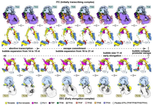 科技资讯｜研究实现胶体量子点在液体中的放大自发辐射 等