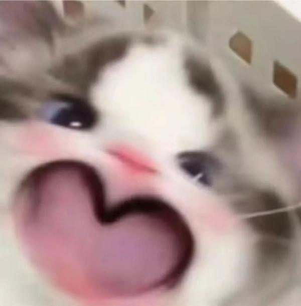 “考研结束走出考场那一刻,大家都很平静,接下来……” “考研结束走出考场那一刻,大家都很平静,接下来……”