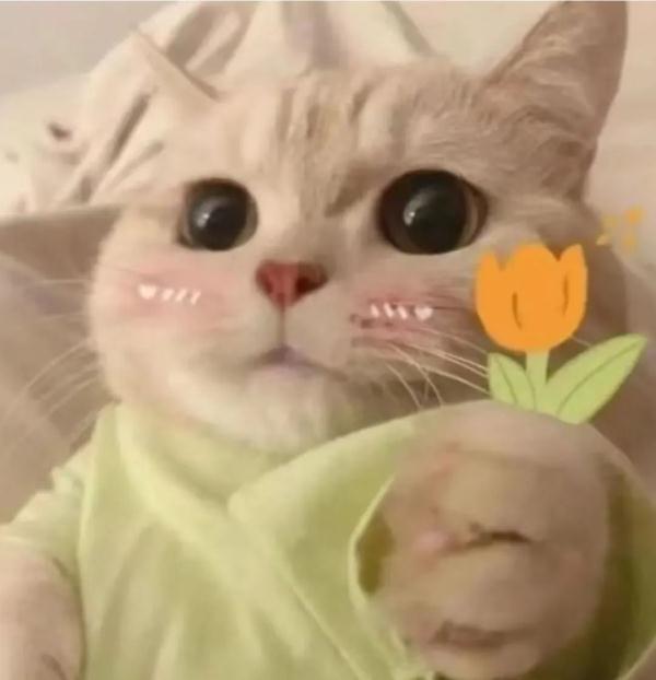 “考研结束走出考场那一刻,大家都很平静,接下来……” “考研结束走出考场那一刻,大家都很平静,接下来……”