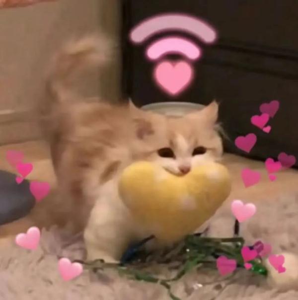 “考研结束走出考场那一刻,大家都很平静,接下来……” “考研结束走出考场那一刻,大家都很平静,接下来……”