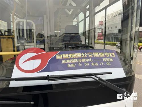 昆明首次发现海鸥新种！今年来昆海鸥总数达40700只……