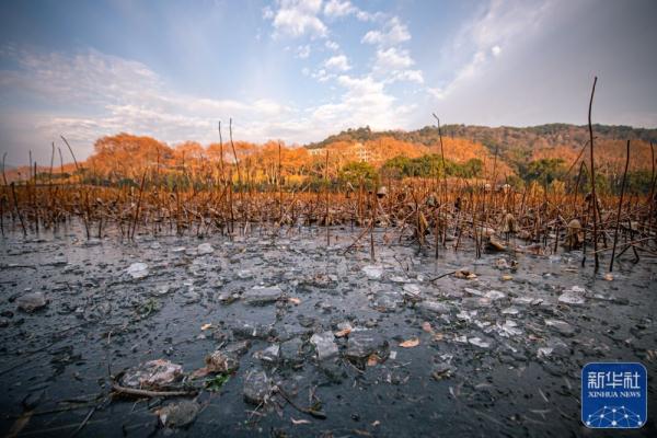 西湖冬景