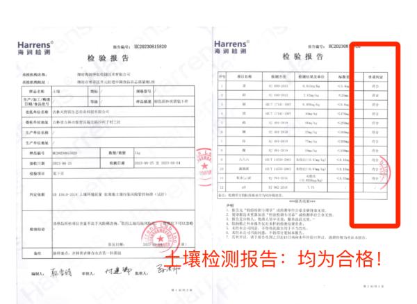 名小吃“麻酱鸡蛋”，沙酥流油，松软咸香，一口停不下来