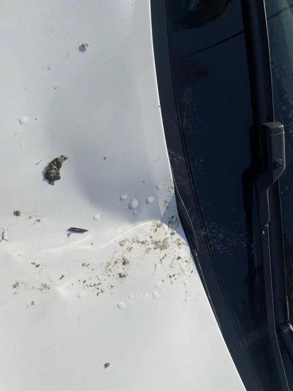 真的发生了！浙江姑娘开车路上，冰锥突然掉下来！车被砸成这样……