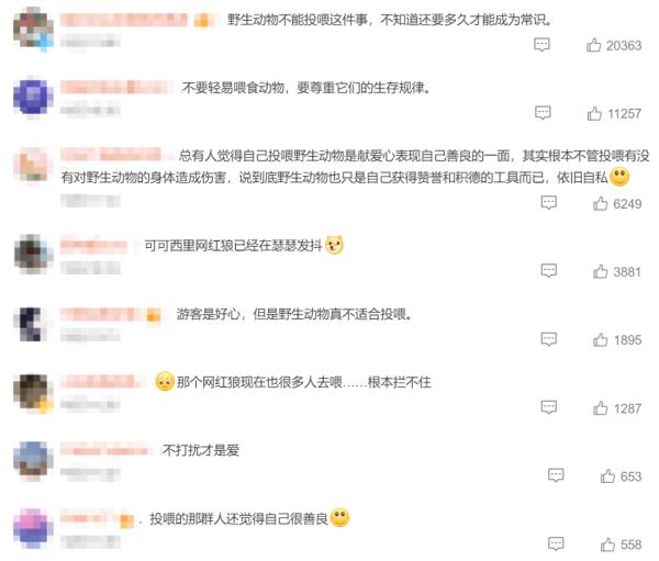 “网红狐狸”死在雪地里？知名景区回应