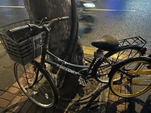 上海唯一卖假领头的百货店要关了