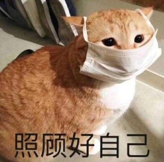 西安新一轮雨雪时间确定!陕西发布重要天气预报! 西安新一轮雨雪时间确定!陕西发布重要天气预报!