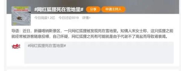 冲上热搜！网红狐狸死在雪地里，疑似投喂造成