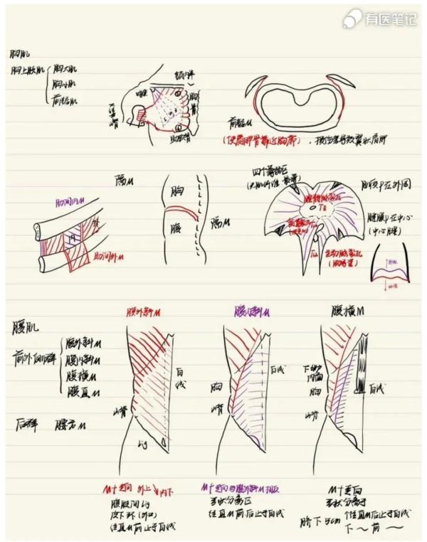 “这个笔记看似很难，实则一点都不简单……”
