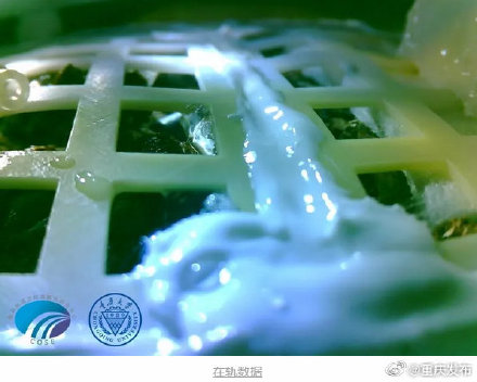 重庆大学这个罐罐被国家博物馆永久收藏！