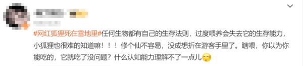 “网红狐狸”死在雪地里？知名景区回应