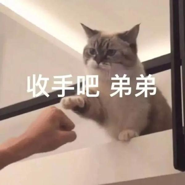 当毒贩遇上了诈骗犯……