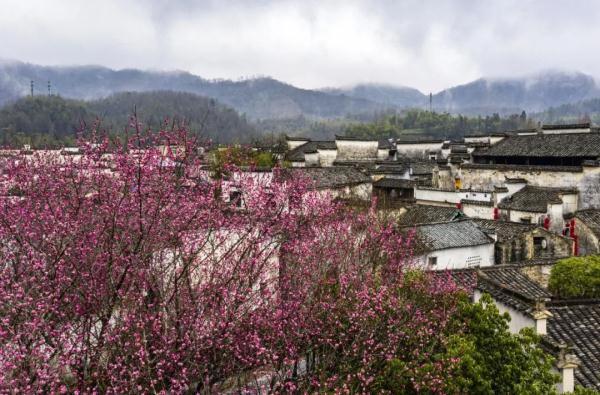 门票减免！这条高铁开通，黄山市出台专项旅游政策