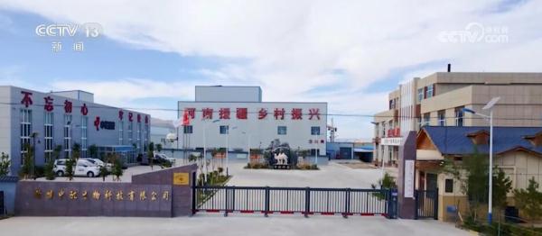 走进新疆看发展 | 打造特色产业链 “沙漠之舟”变身“产业之舟” 走进新疆看发展 | 打造特色产业链 “沙漠之舟”变身“产业之舟”