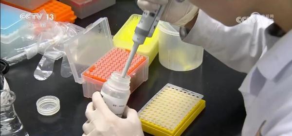 我国种业振兴行动取得阶段性成效 初步摸清资源“家底”