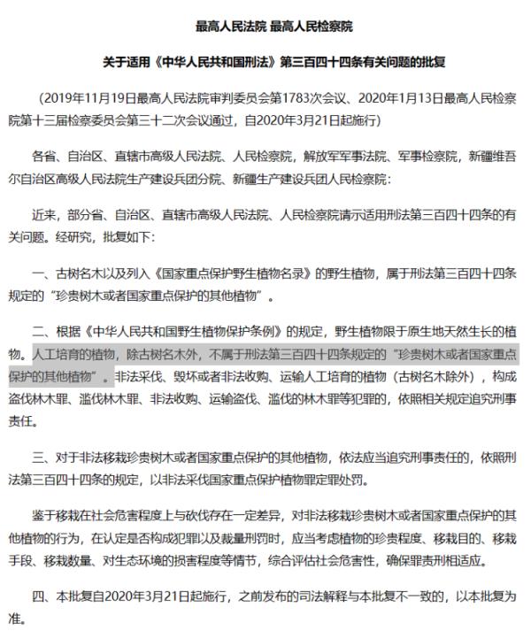 四川男子售卖自家26棵香樟判缓刑背后：人工栽种香樟算不算国家重点保护植物？