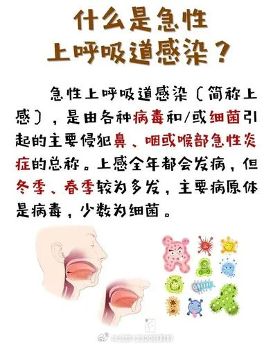 上呼吸道感染虽无特效药，但有很多应对办法