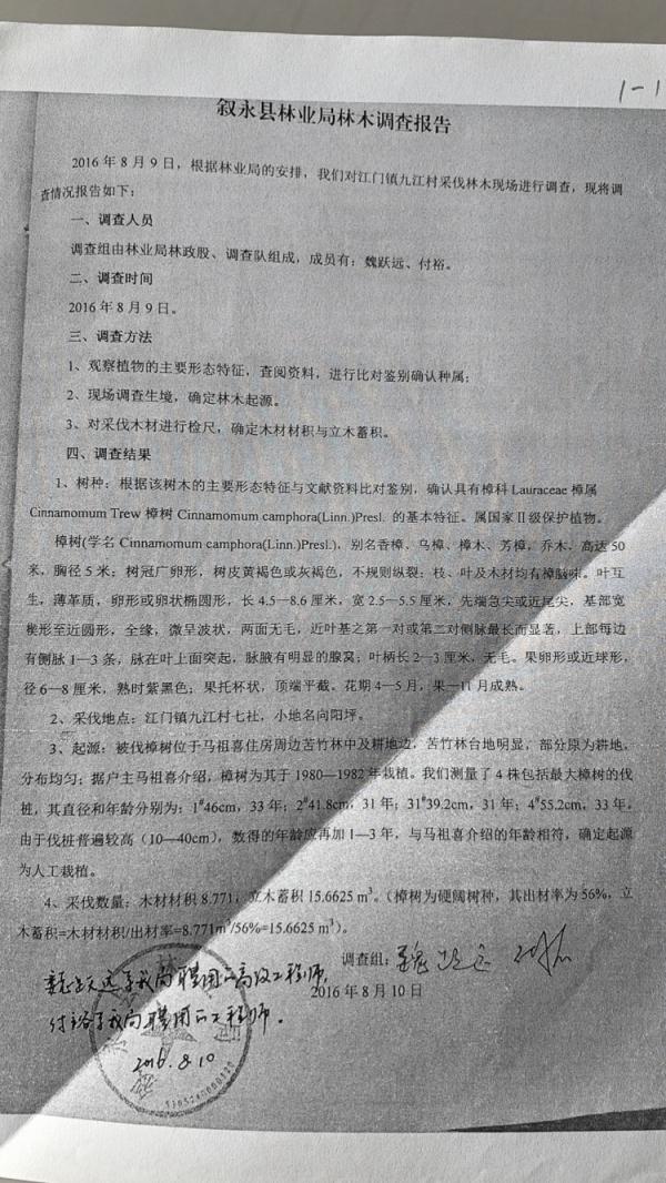 四川男子售卖自家26棵香樟判缓刑背后：人工栽种香樟算不算国家重点保护植物？