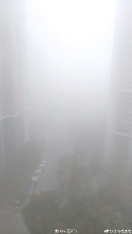 强浓雾来袭！出门注意安全️