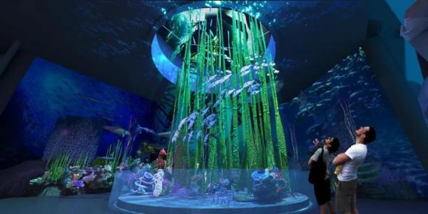 浙江新增8个省级生物多样性体验地,有你去过的吗? 浙江新增8个省级生物多样性体验地,有你去过的吗?