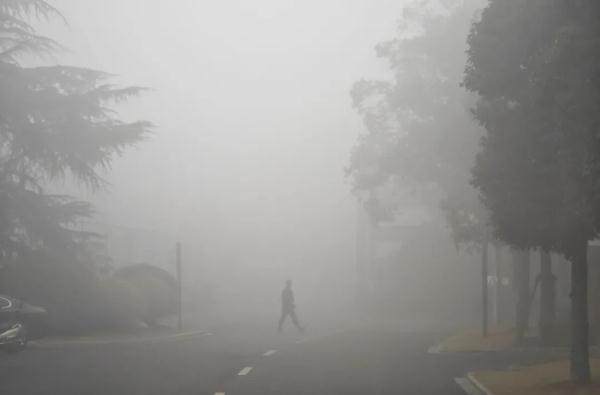 上海出现超强浓雾,还有轻度霾!元旦假期先雨后晴,弱冷空气光顾 上海出现超强浓雾,还有轻度霾!元旦假期先雨后晴,弱冷空气光顾