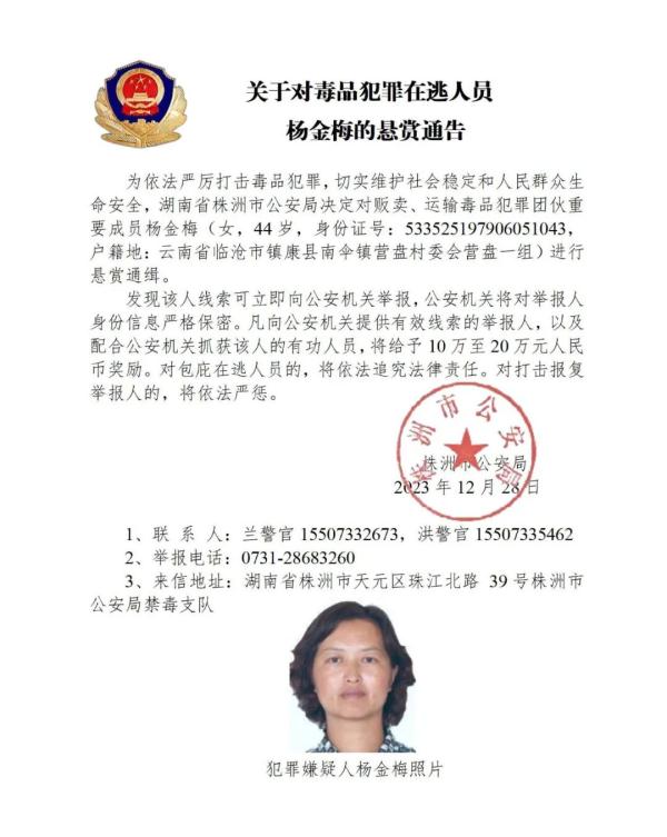 这10人藏匿在缅北，公安机关公开通缉！