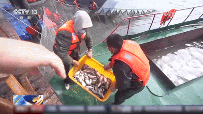 冰湖腾鱼！来看查干湖冬捕