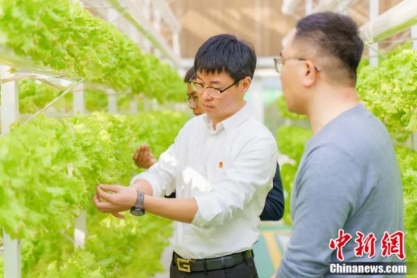 不见鲁Q，吃菜犯愁！这座小城如何拿下“长三角”？