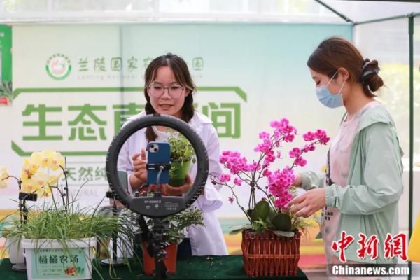 不见鲁Q，吃菜犯愁！这座小城如何拿下“长三角”？