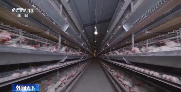 多项税费支持政策落实落细 为民营经济发展减负担、增动能 多项税费支持政策落实落细 为民营经济发展减负担、增动能