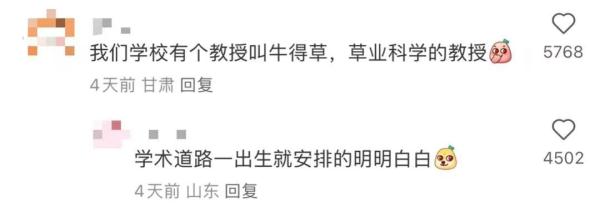 大学教授名叫可爱龙，网友互动可可爱爱