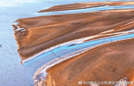 冬日黄河滩地亮丽如画