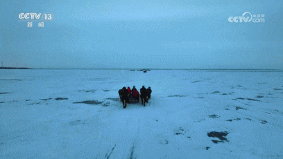 冰湖腾鱼！来看查干湖冬捕