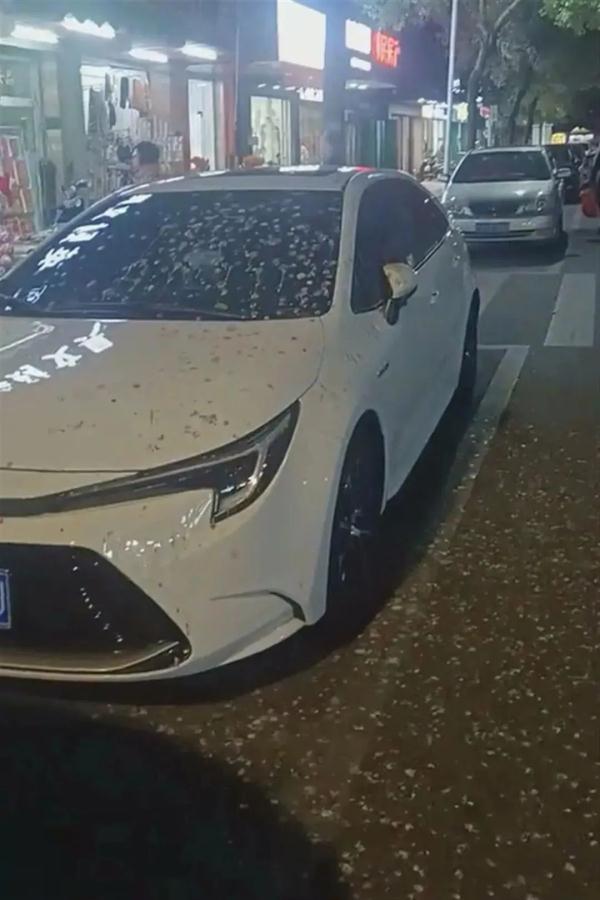 密密麻麻!汕头地震局回应燕子低空扎堆乱飞 密密麻麻!汕头地震局回应燕子低空扎堆乱飞