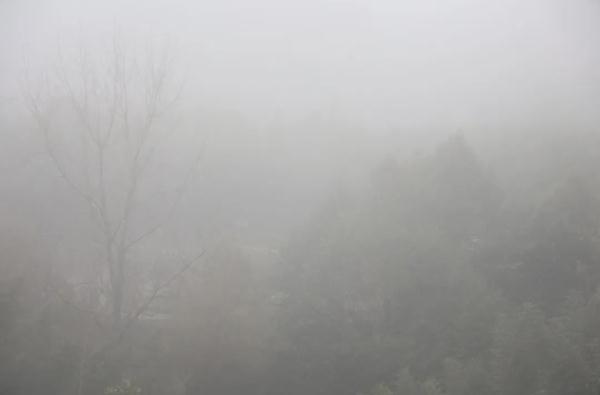 上海出现超强浓雾,还有轻度霾!元旦假期先雨后晴,弱冷空气光顾 上海出现超强浓雾,还有轻度霾!元旦假期先雨后晴,弱冷空气光顾