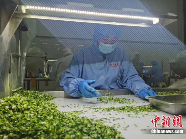 不见鲁Q，吃菜犯愁！这座小城如何拿下“长三角”？