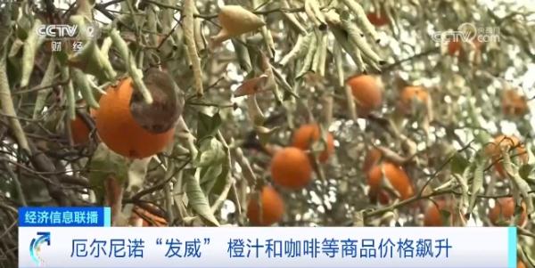 暴涨80%!怎么回事? 暴涨80%!怎么回事?