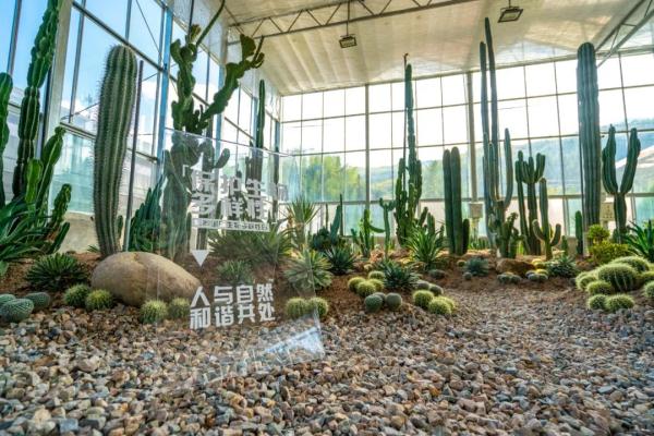 浙江新增8个省级生物多样性体验地,有你去过的吗? 浙江新增8个省级生物多样性体验地,有你去过的吗?