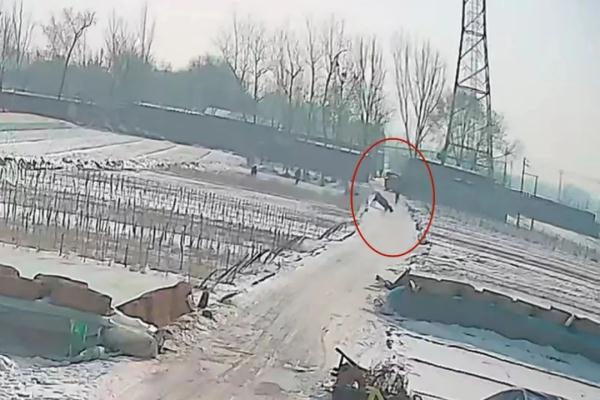 疯牛失控伤人,民警果断击毙! 疯牛失控伤人,民警果断击毙!