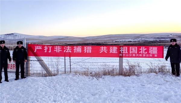 壮观！上万只黄羊跨越中蒙边境大迁徙