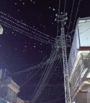 密密麻麻!汕头地震局回应燕子低空扎堆乱飞 密密麻麻!汕头地震局回应燕子低空扎堆乱飞