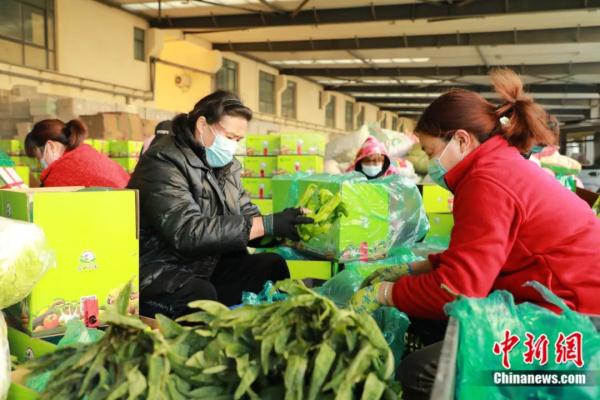 不见鲁Q，吃菜犯愁！这座小城如何拿下“长三角”？