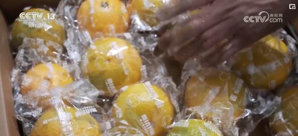 2023民生答卷厚植高颜值生态“绿”底色 美丽中国再谱新篇 2023民生答卷厚植高颜值生态“绿”底色 美丽中国再谱新篇