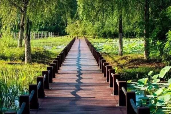 高清美图抢先看！北京有条“多巴胺”地铁线——