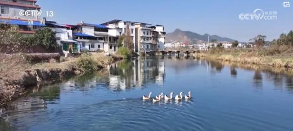 2023民生答卷厚植高颜值生态“绿”底色 美丽中国再谱新篇 2023民生答卷厚植高颜值生态“绿”底色 美丽中国再谱新篇