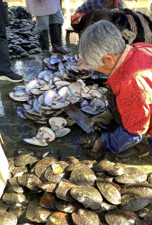 从年初火到岁末，这波“珍珠热”如何看？