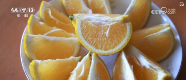 2023民生答卷厚植高颜值生态“绿”底色 美丽中国再谱新篇 2023民生答卷厚植高颜值生态“绿”底色 美丽中国再谱新篇